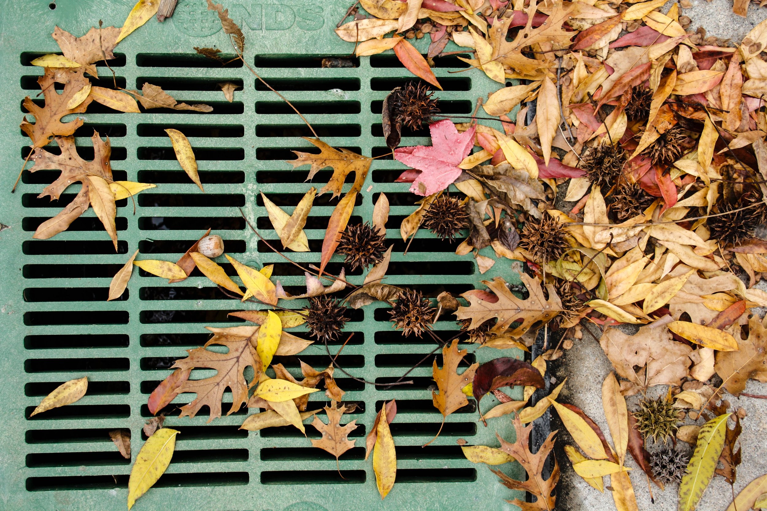 Regain Ownership of your Day: Overcome the Hidden Drains of Leadership