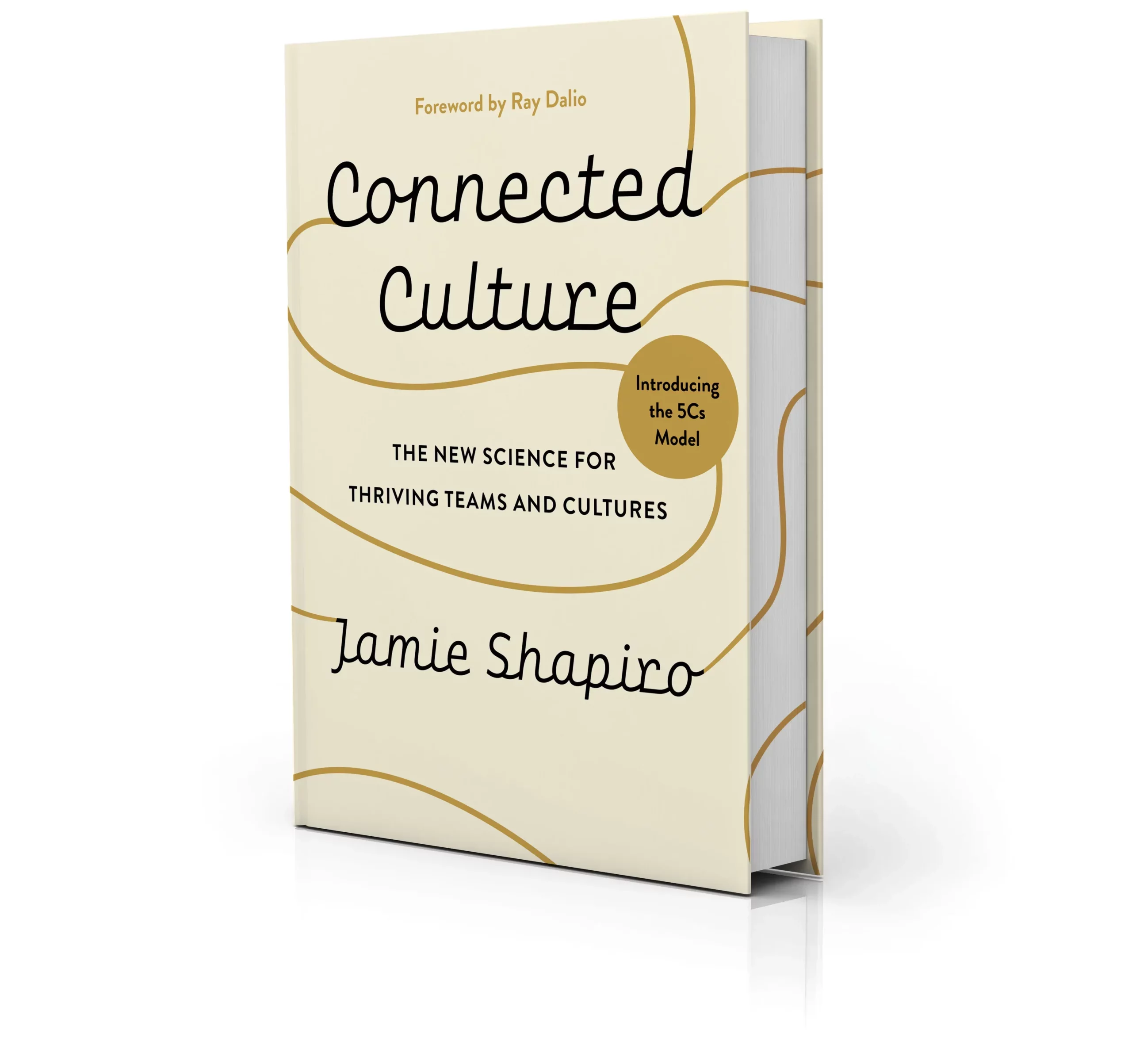 ConnectedCulture-3d