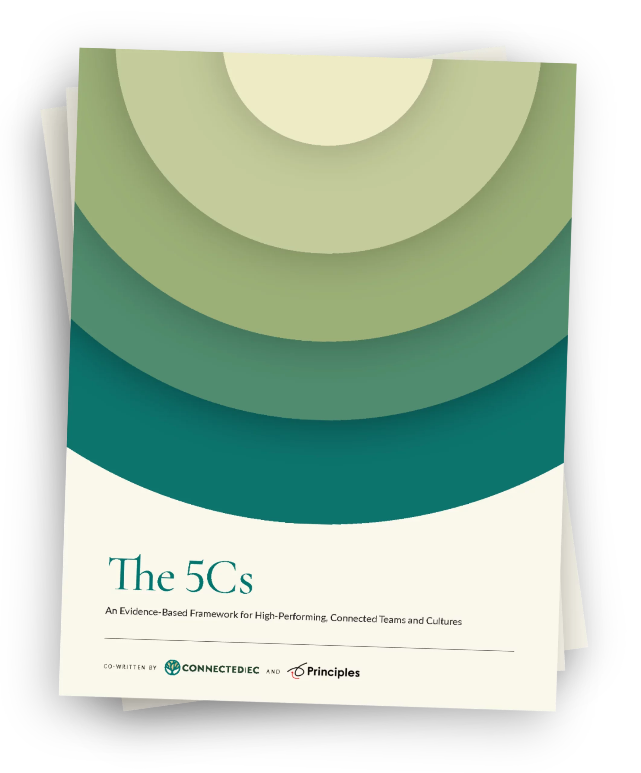 5cs